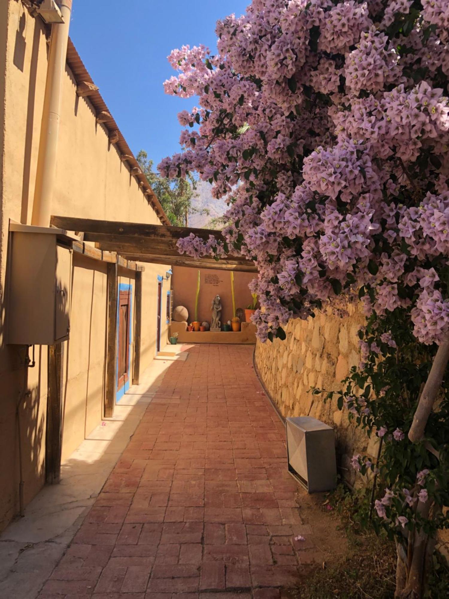 Cabanas Elquimista Pisco Elqui Exterior foto